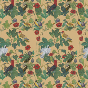 PWNL070.MULTI-Birds-in-the-Fig-Tree