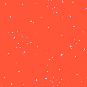 CLTP005.CORALCRUSH