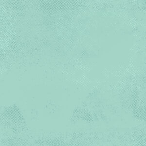PWZC001.MIST