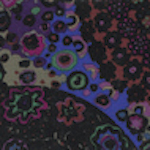 PWGP092.DARKX