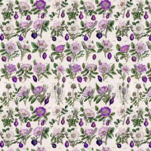 PWTH306.PURPLE